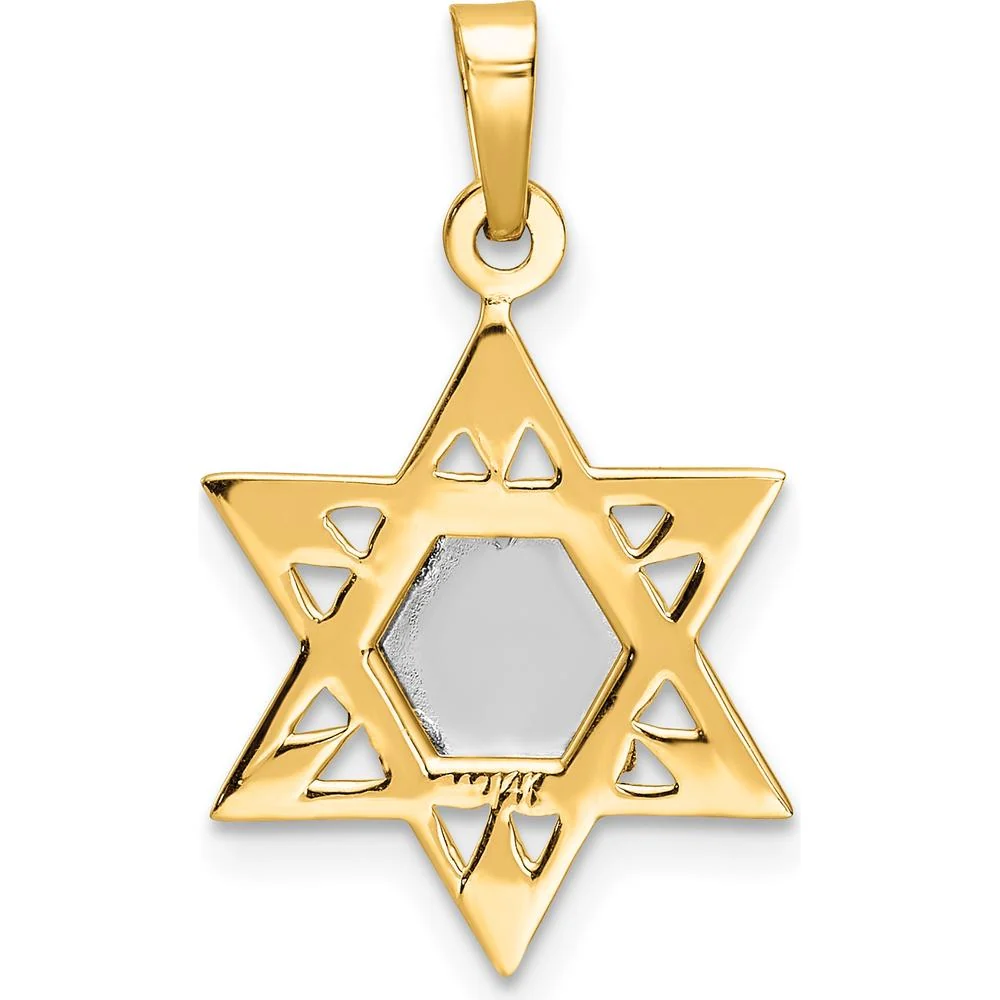 14K Two-Tone Polished Solid Star of David and Torah Pendant - 23.95mm Length by Oro Pregiato - Image 4
